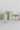 BOITES EMPREINTE MINT GOLD
