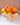FRUIT CUTTER