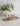 LONG RECTANGULAR TRAY