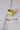 MEDIUM CUP