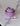 BOLS ET SALADIERS RONDS