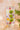 PLATEAU LONG RECTANGLE