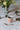 PETIT MUG