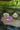 PLATEAUX RONDS