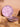 ASSIETTES PLATES