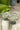 PLATS DE SERVICE DROITS