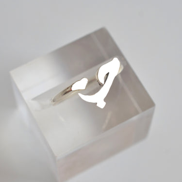 BAGUE " HOUB " EN ARGENT (6583120920618)